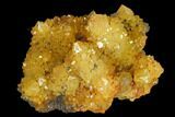 Sunshine Cactus Quartz Crystal Cluster - South Africa #132891-2